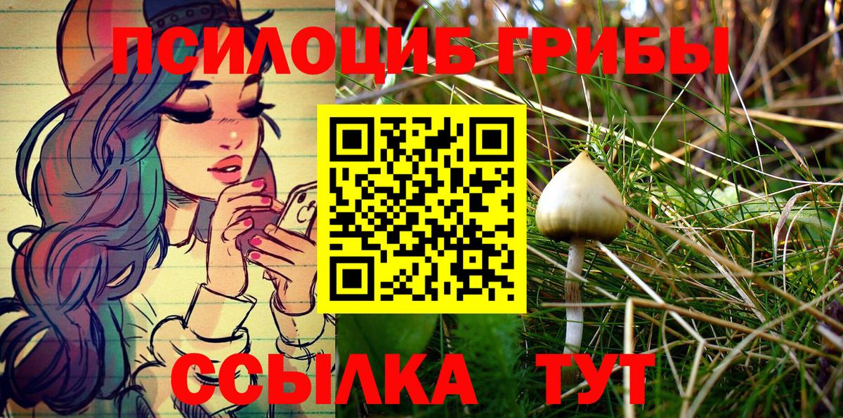Галлюциногенные грибы Psilocybine cubensis  Псилоцибиновые грибы Magic Shrooms  Вход с VPN  Кольчугино 