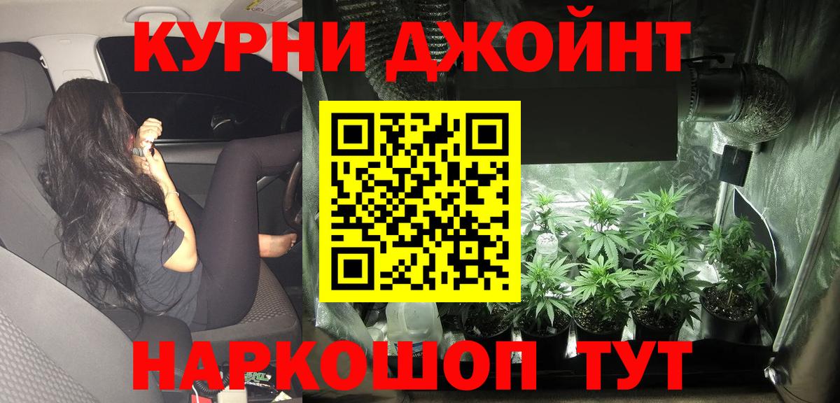 Бошки марихуана MAZAR  Бошки Шишки MAZAR  Вход с VPN  Кольчугино  МАРИХУАНА White Widow 