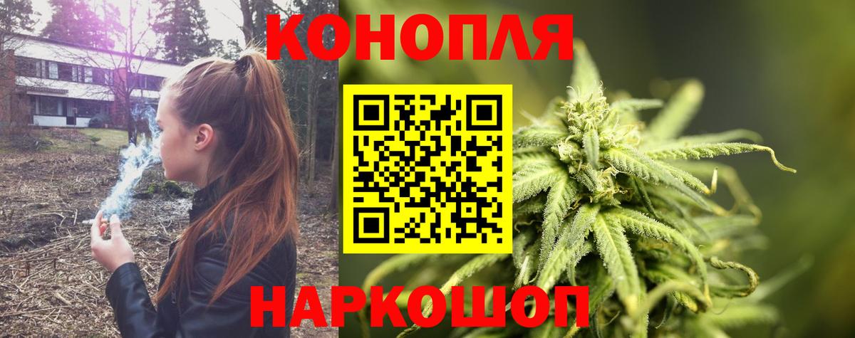 Марихуана сатива Кольчугино